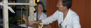Healthcare professionals providing care during a community outreach program.